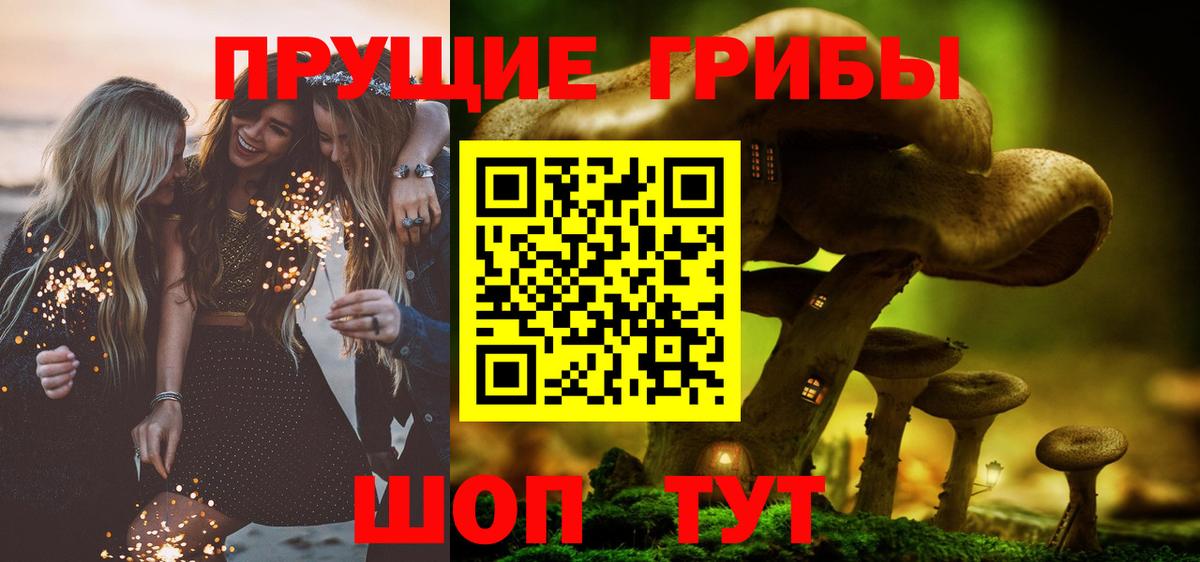 Псилоцибиновые грибы Psilocybe Севастополь